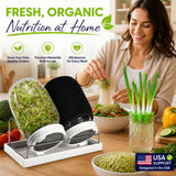 A woman preparing a salad in a kitchen while using a green sprout starter kit. The kit includes a clear container filled with green sprouts, a black cylindrical chamber, and a white metal tray.