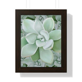 Pachyveria Haagei Succulent Pattern Framed Print – Botanical Wall Art