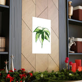 Philodendron Cream Splash Botanical Print – Unframed Wall Art