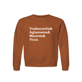 Tradescantia, Aglaonema, Maranta & Ficus Plant Lover Sweatshirt – Organic Cotton Raglan