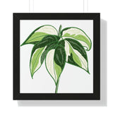 Philodendron Cream Splash Framed Print – Botanical Wall Art
