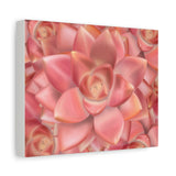 Graptosedum California Sunset Succulent Pattern Canvas Print – Botanical Wall Art