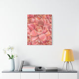Graptosedum California Sunset Succulent Pattern Canvas Print – Botanical Wall Art