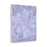 Graptopetalum Murasaki Succulent Pattern Canvas Print – Botanical Wall Art