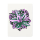 Tradescantia Nanouk Canvas Print – Botanical Wall Art