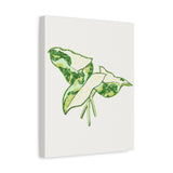 Marble Syngonium Canvas Print – Botanical Wall Art