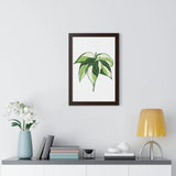 Philodendron Cream Splash Framed Print – Botanical Wall Art