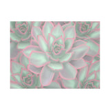 Echeveria Violet Queen Succulent Pattern Canvas Print – Botanical Wall Art
