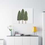 Ponderosa Pine Canvas Print – Wall Art