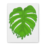 Melting Monstera Canvas Print – Botanical Wall Art