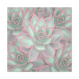 Echeveria Violet Queen Succulent Pattern Canvas Print – Botanical Wall Art