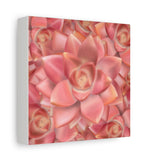 Graptosedum California Sunset Succulent Pattern Canvas Print – Botanical Wall Art