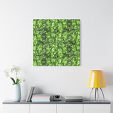 Aglaonema Pictum Canvas Print – Botanical Wall Art