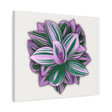 Tradescantia Nanouk Canvas Print – Botanical Wall Art