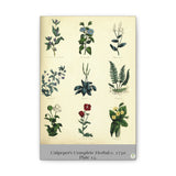 Culpeper Illustration of various plants on a beige background with text at the bottom.