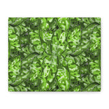 Aglaonema Pictum Canvas Print – Botanical Wall Art