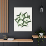 Manjula Pothos Canvas Print – Botanical Wall Art