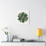Stromanthe Triostar Canvas Print – Botanical Wall Art