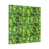Aglaonema Pictum Canvas Print – Botanical Wall Art
