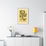 Magnolia and Eastern Tiger Swallowtail, Botanical Illustration on Canvas
