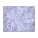 Graptopetalum Murasaki Succulent Pattern Canvas Print – Botanical Wall Art