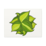 Philodendron Brasil Canvas Print – Botanical Wall Art