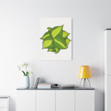 Philodendron Brasil Canvas Print – Botanical Wall Art