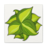 Philodendron Brasil Canvas Print – Botanical Wall Art