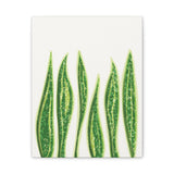 Snake Plant Canvas Print – Botanical Wall Art