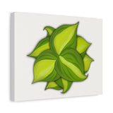 Philodendron Brasil Canvas Print – Botanical Wall Art