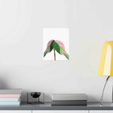 Pink Princess Philodendron Botanical Print – Unframed Wall Art
