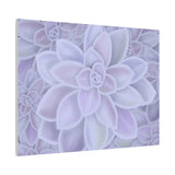 Graptopetalum Murasaki Succulent Pattern Canvas Print – Botanical Wall Art