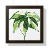 Philodendron Cream Splash Framed Print – Botanical Wall Art