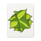Philodendron Brasil Canvas Print – Botanical Wall Art