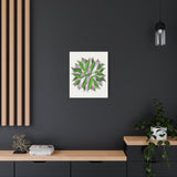 Syngonium Tricolor Pattern Canvas Print – Botanical Wall Art