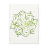 Snow Queen Pothos Canvas Print – Botanical Wall Art