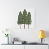 Ponderosa Pine Canvas Print – Wall Art