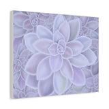 Graptopetalum Murasaki Succulent Pattern Canvas Print – Botanical Wall Art