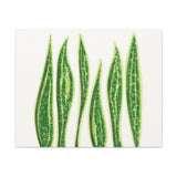 Snake Plant Canvas Print – Botanical Wall Art
