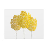 Fall Aspen Canvas Print – Wall Art