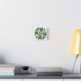 Calathea White Fusion Canvas Print – Botanical Wall Art