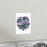 Tradescantia Nanouk Botanical Print – Unframed Wall Art