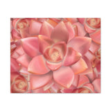 Graptosedum California Sunset Succulent Pattern Canvas Print – Botanical Wall Art