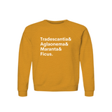 Tradescantia, Aglaonema, Maranta & Ficus Plant Lover Sweatshirt – Organic Cotton Raglan