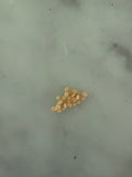 Pineapple Ground Cherry Seeds – Heirloom Husk Cherry, Sweet Tropical Flavor