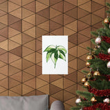 Philodendron Cream Splash Botanical Print – Unframed Wall Art