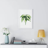 Philodendron Cream Splash Framed Print – Botanical Wall Art