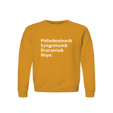 Philodendron, Syngonium, Dracaena & Hoya Plant Lover Sweatshirt – Organic Cotton Raglan