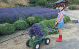 Child with a cart full of Lavender Bundles for Home Decor Aromatherapy Floral Display