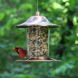 Copper Bird Feeder with Plastic Seed Reservoir Tube and Circular Perch - FREE SHIPPING